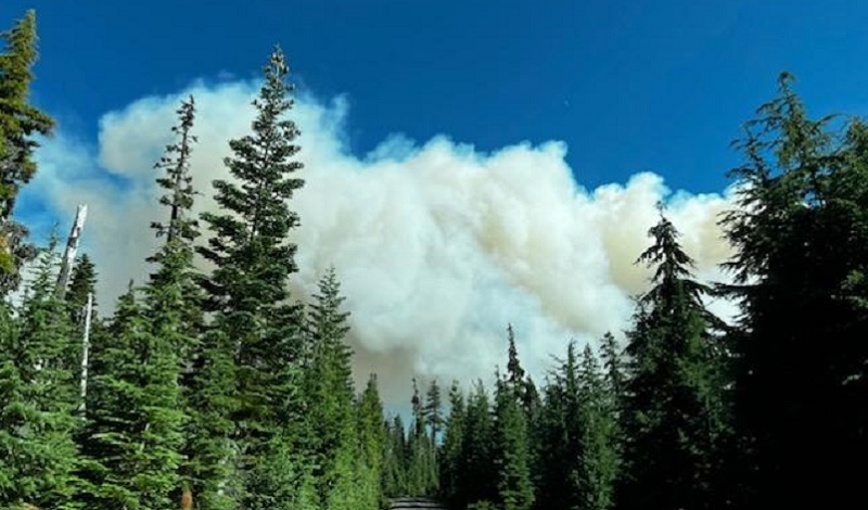 The Cedar Creek Fire in southern Oregon, August 4, 2022 (US Forest Service)