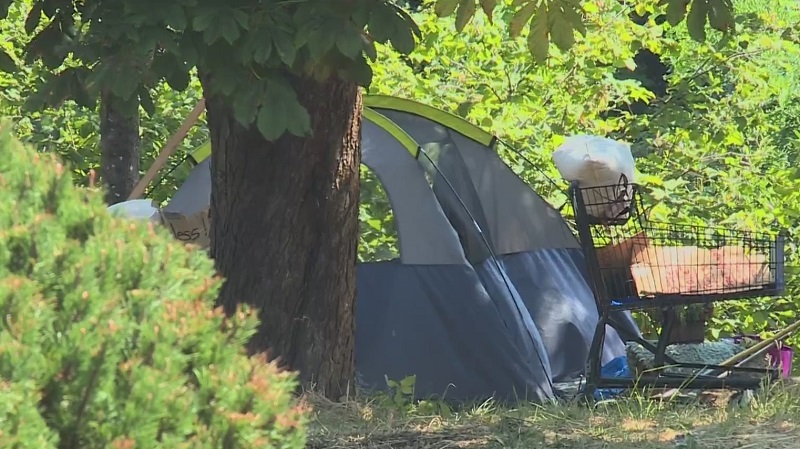 A homeless tent in Multnomah Village in Portland, August 9, 2022 (KOIN)