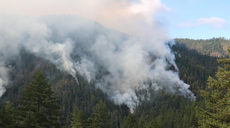 The Rum Creek Fire in southern Oregon, August 23, 2022 (Inciweb)