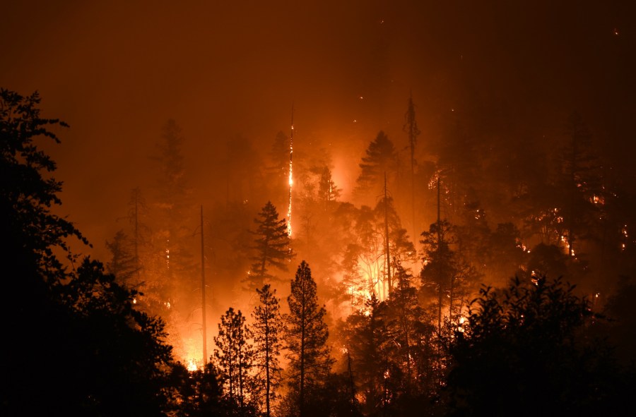 The Rum Creek Fire scorches a forest in near Galice at 1 a.m. on Tuesday, Aug. 30, 2022