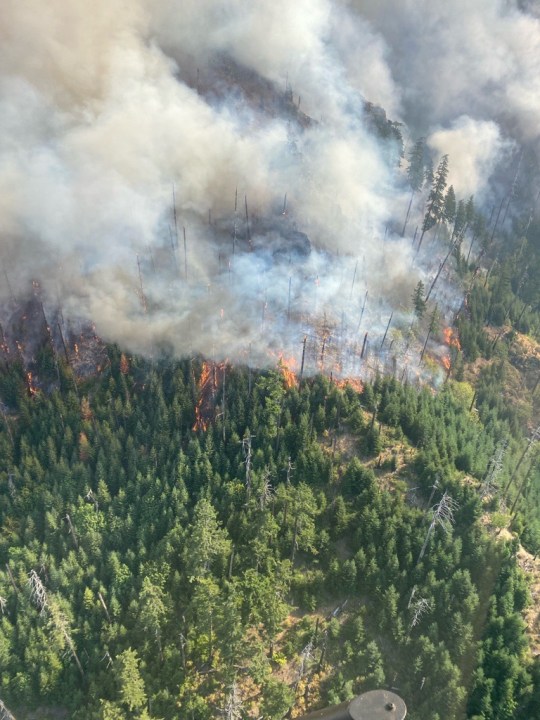 Cedar Creek Fire scorches trees on Saturday, Sept. 10, 2022