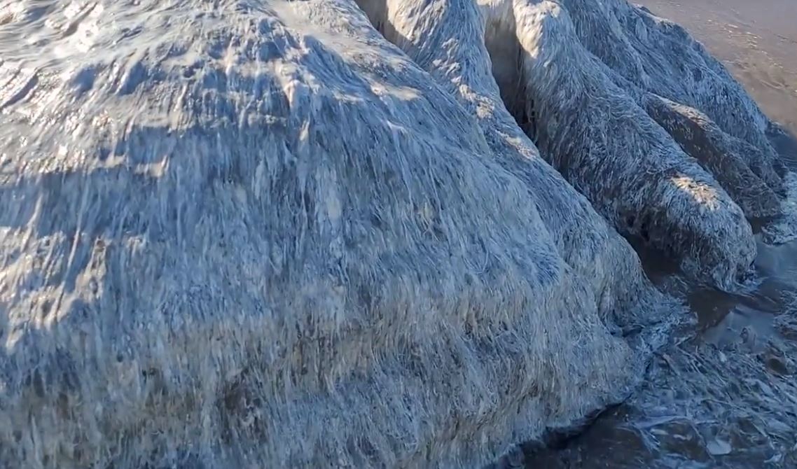 Couple discovers what appears to be a 'globster' on the Oregon coast