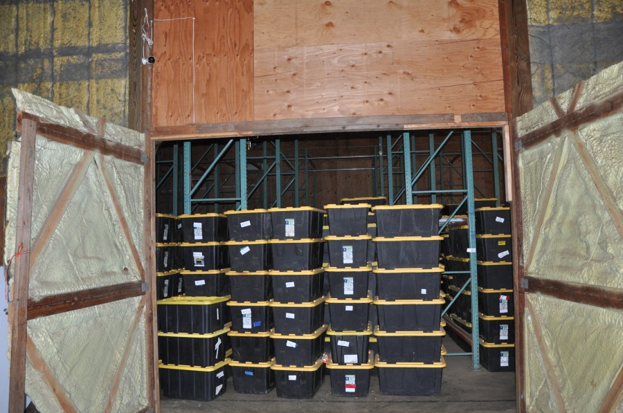 Bins filled with illegally grown marijuana stacked from floor to ceiling at a Newberg, Oregon property on Oct. 18, 2022. (Credit: Yamhill County Sheriff's Office)