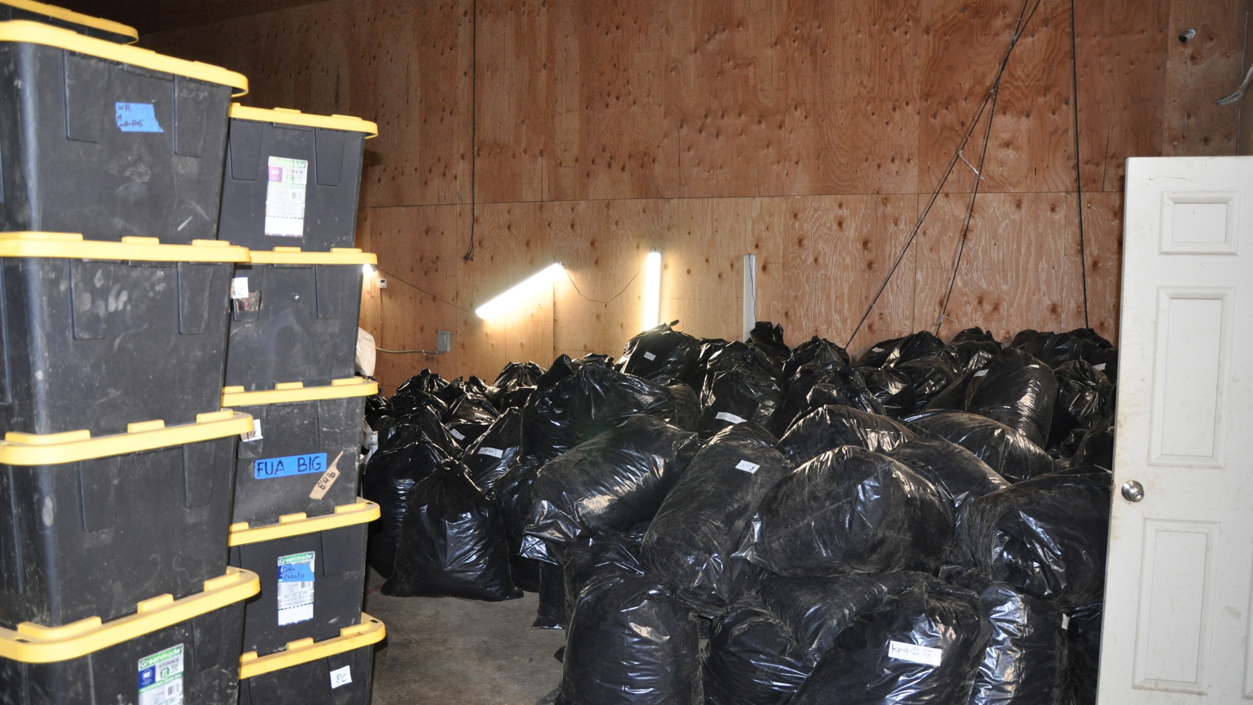 Bins and bags filled with illegally grown marijuana stacked from floor to ceiling at a Newberg, Oregon property on Oct. 18, 2022. (Credit: Yamhill County Sheriff's Office)