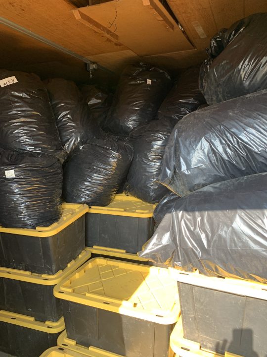 Bins and bags filled with illegally grown marijuana stacked from floor to ceiling at a Newberg, Oregon property on Oct. 18, 2022. (Credit: Yamhill County Sheriff's Office)