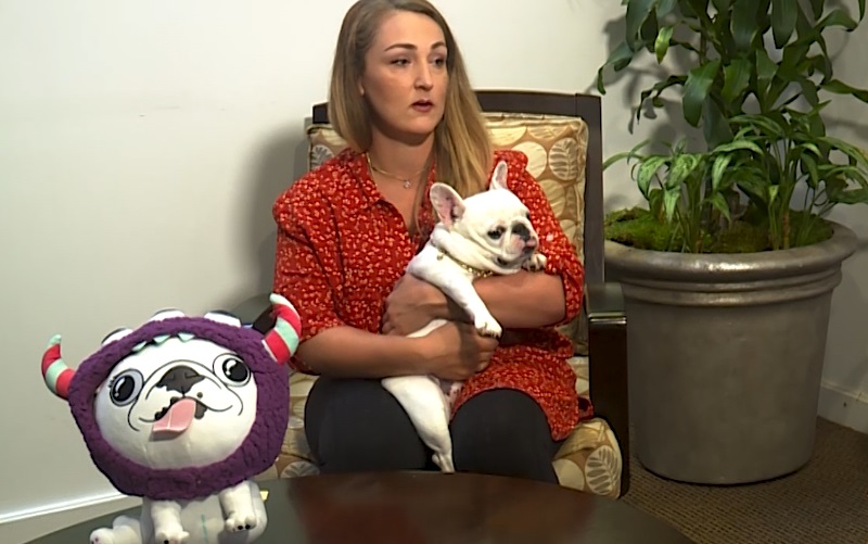 Portland pet influencer Lindsay Van Bramer holds Bethanee Hamilton, a 3-legged French bulldog with a plushie. Proceeds go to Joy Rx, part of the Children's Cancer Association, October 2022 (KOIN)