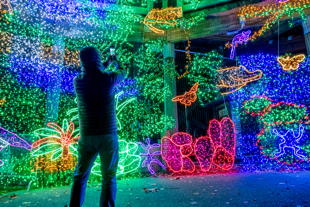 ZooLights at the Oregon Zoo