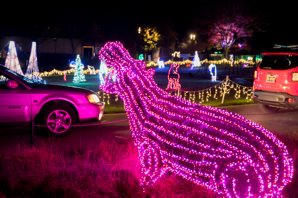 ZooLights at the Oregon Zoo