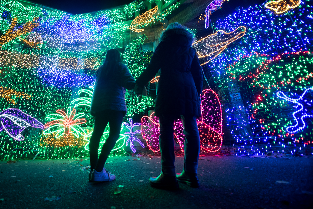 ZooLights at the Oregon Zoo