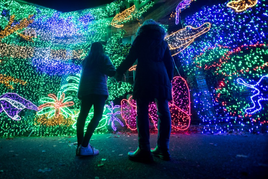 ZooLights at the Oregon Zoo