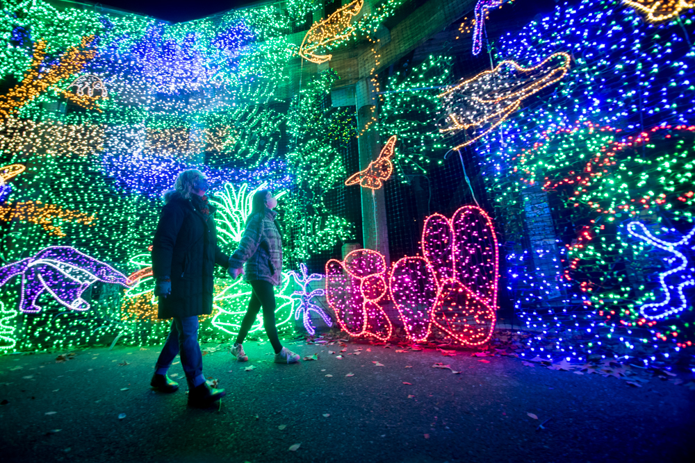 ZooLights at the Oregon Zoo