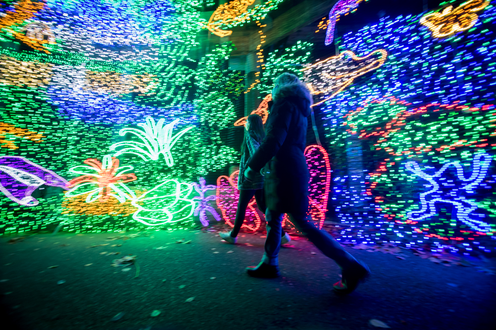 ZooLights at the Oregon Zoo