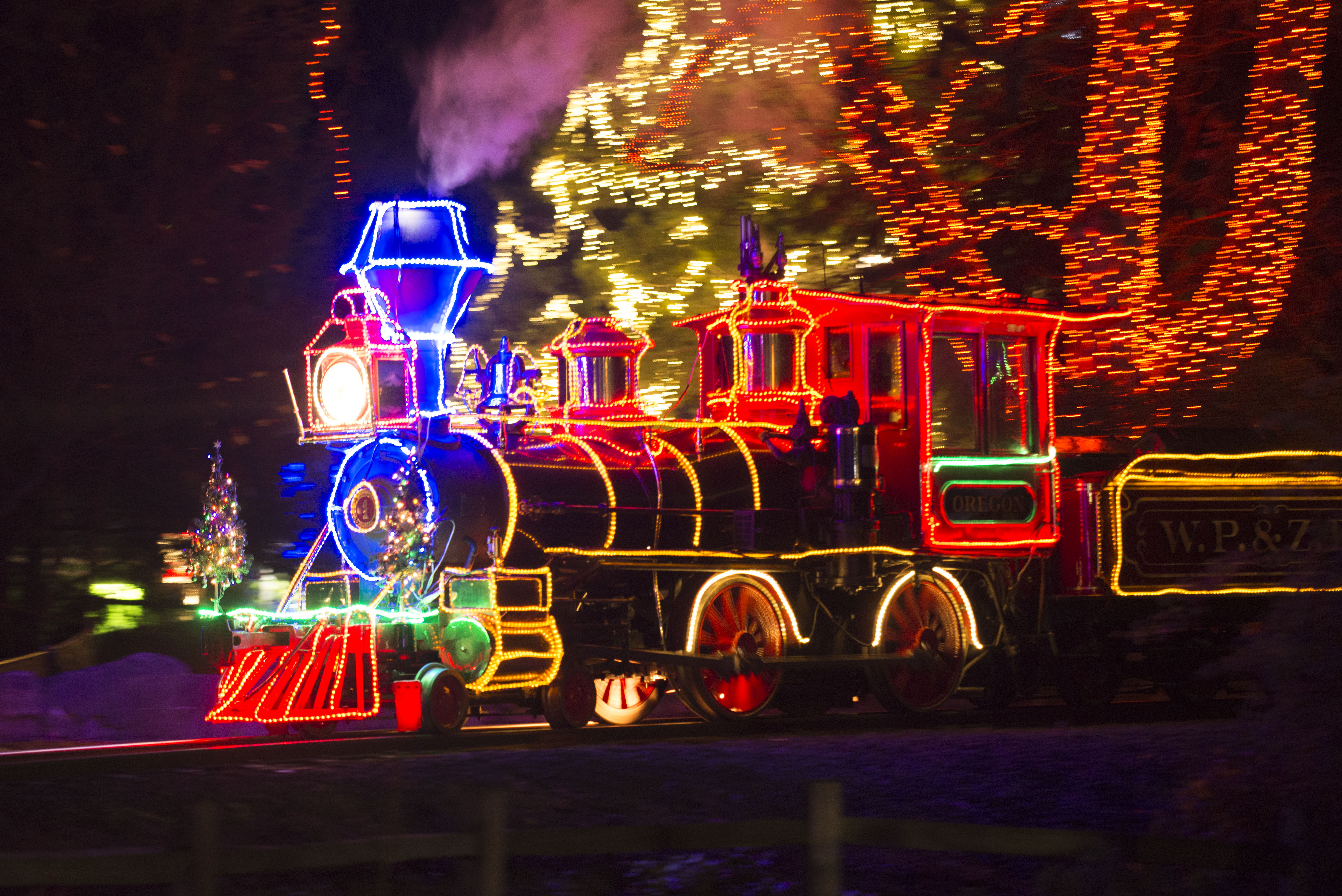 ZooLights at the Oregon Zoo