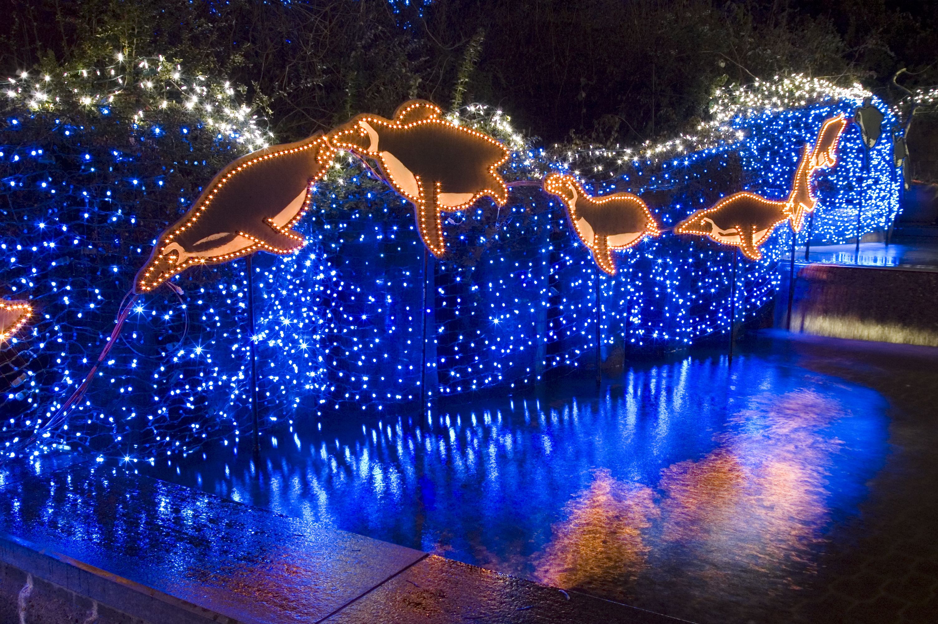 ZooLights at the Oregon Zoo