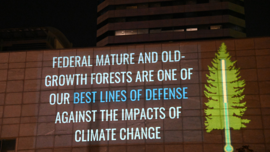 Oregon Wild messages at Portland World Trade Building (courtesy of Arran Robertson)