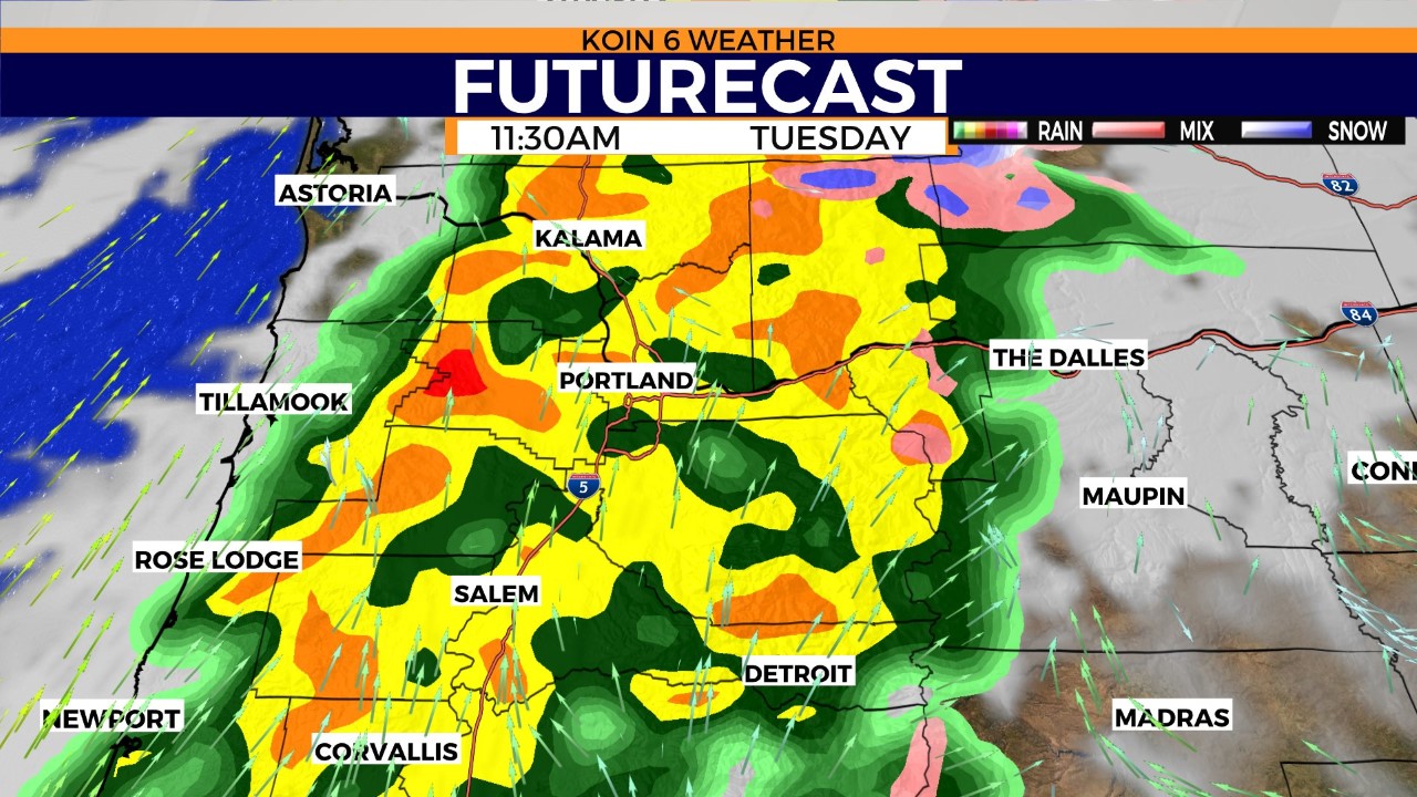 Widespread rain is in the forecast for Tuesday, November 22, 2022 for Oregon