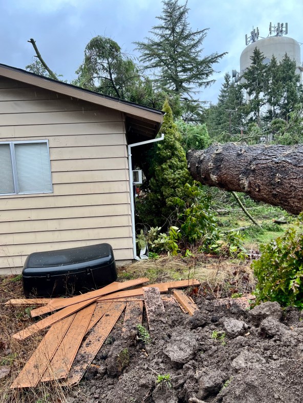 A tree fell amid high wind gusts on Tuesday, Dec. 27, 2022 in Aloha, leaving its branches in a home.