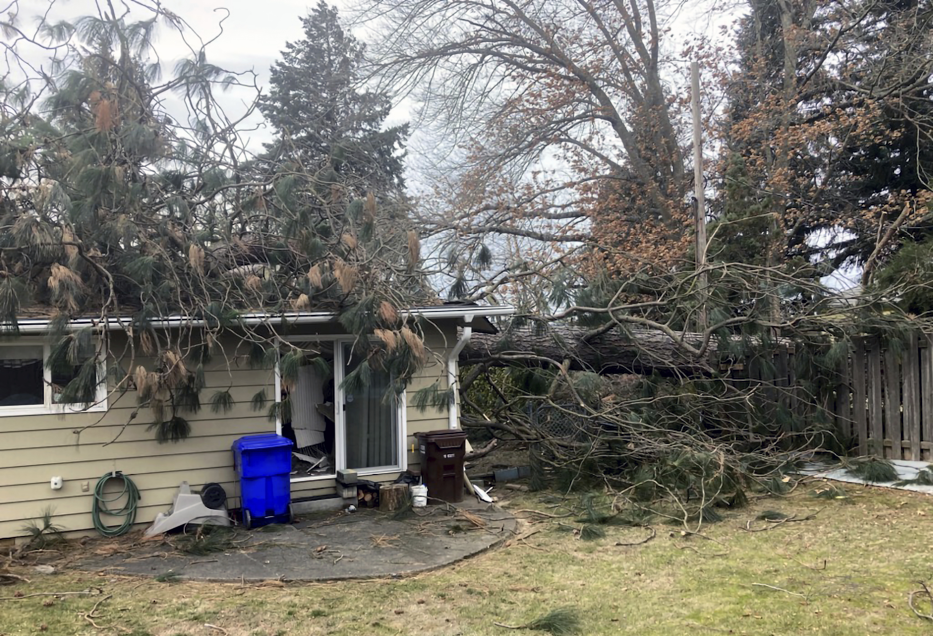 PHOTOS: Portland, OR winter storm leaves its mark on the region