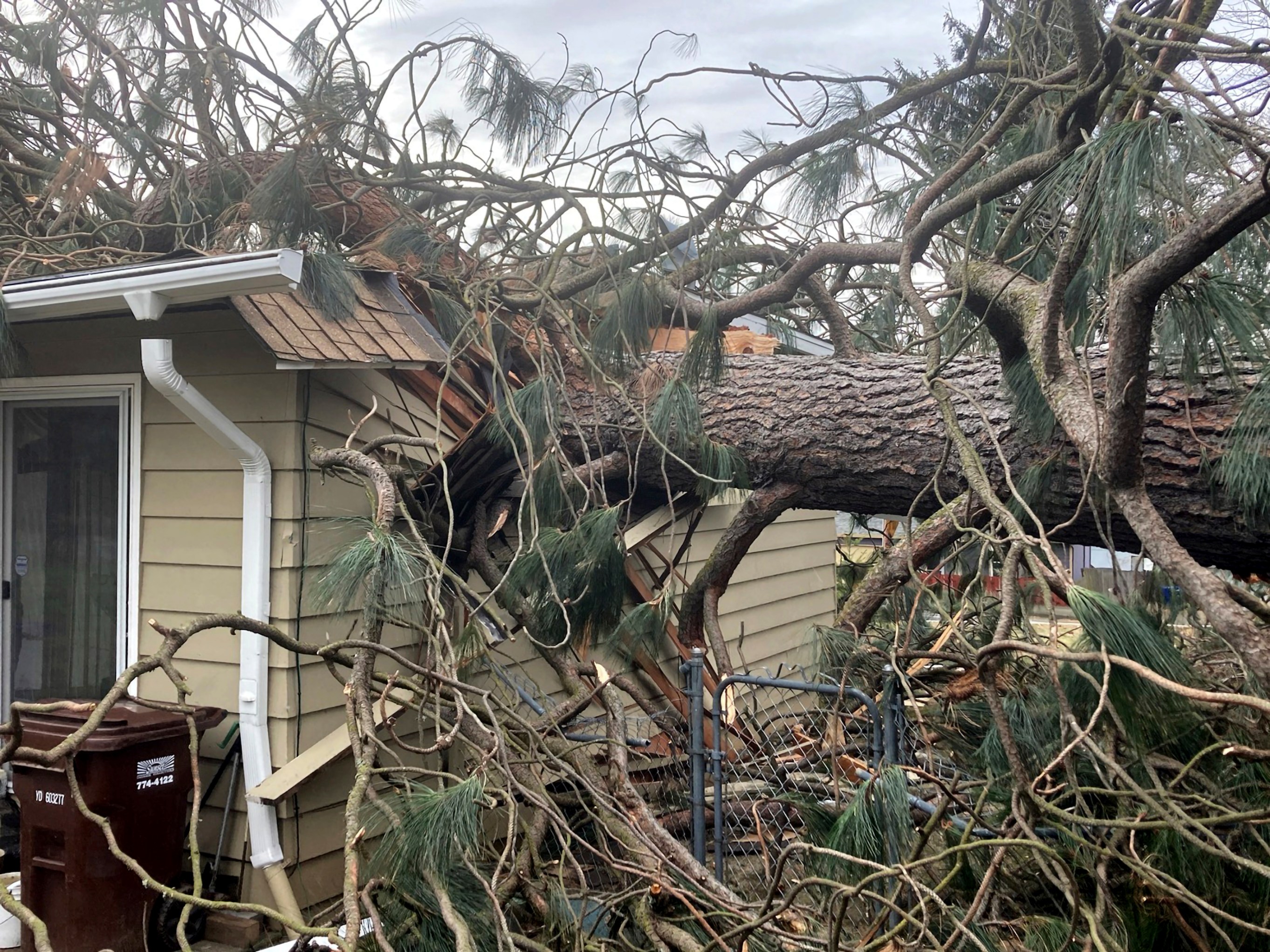 PHOTOS: Portland, OR winter storm leaves its mark on the region