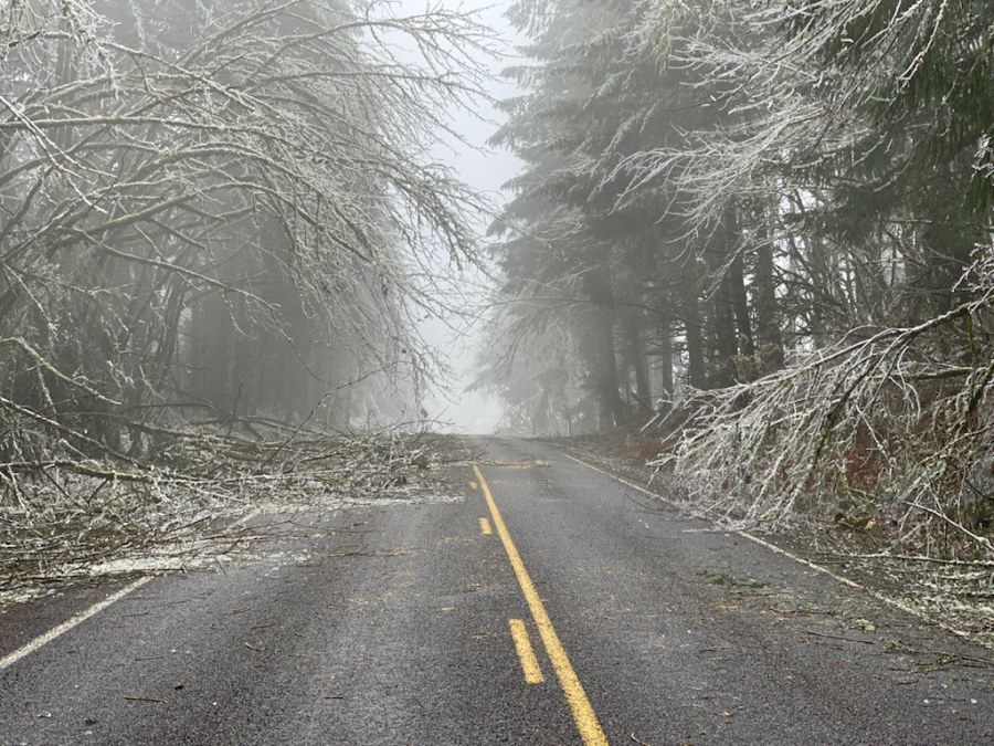 PHOTOS: Portland, OR winter storm leaves its mark on the region