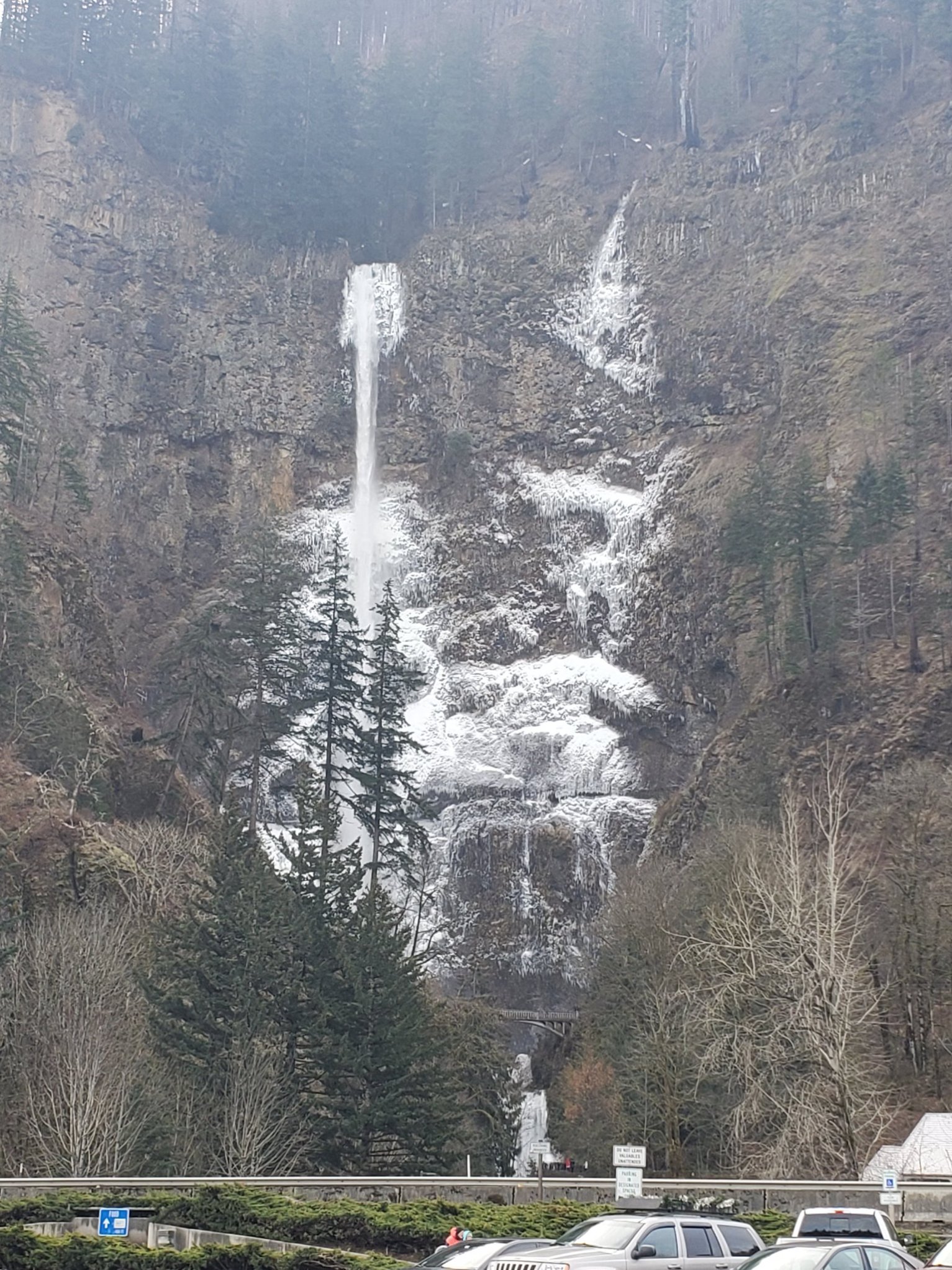 PHOTOS: Portland, OR winter storm leaves its mark on the region