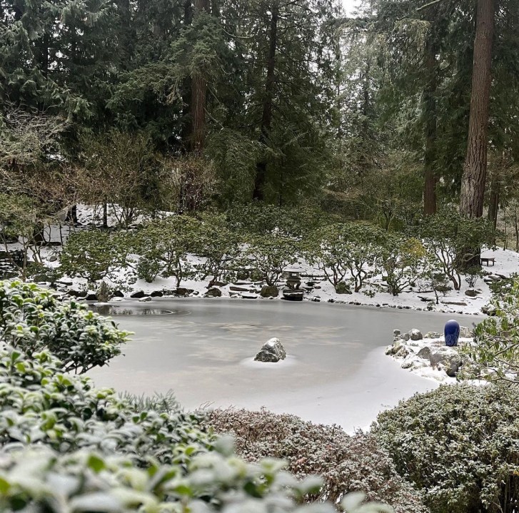 PHOTOS: Portland, OR winter storm leaves its mark on the region