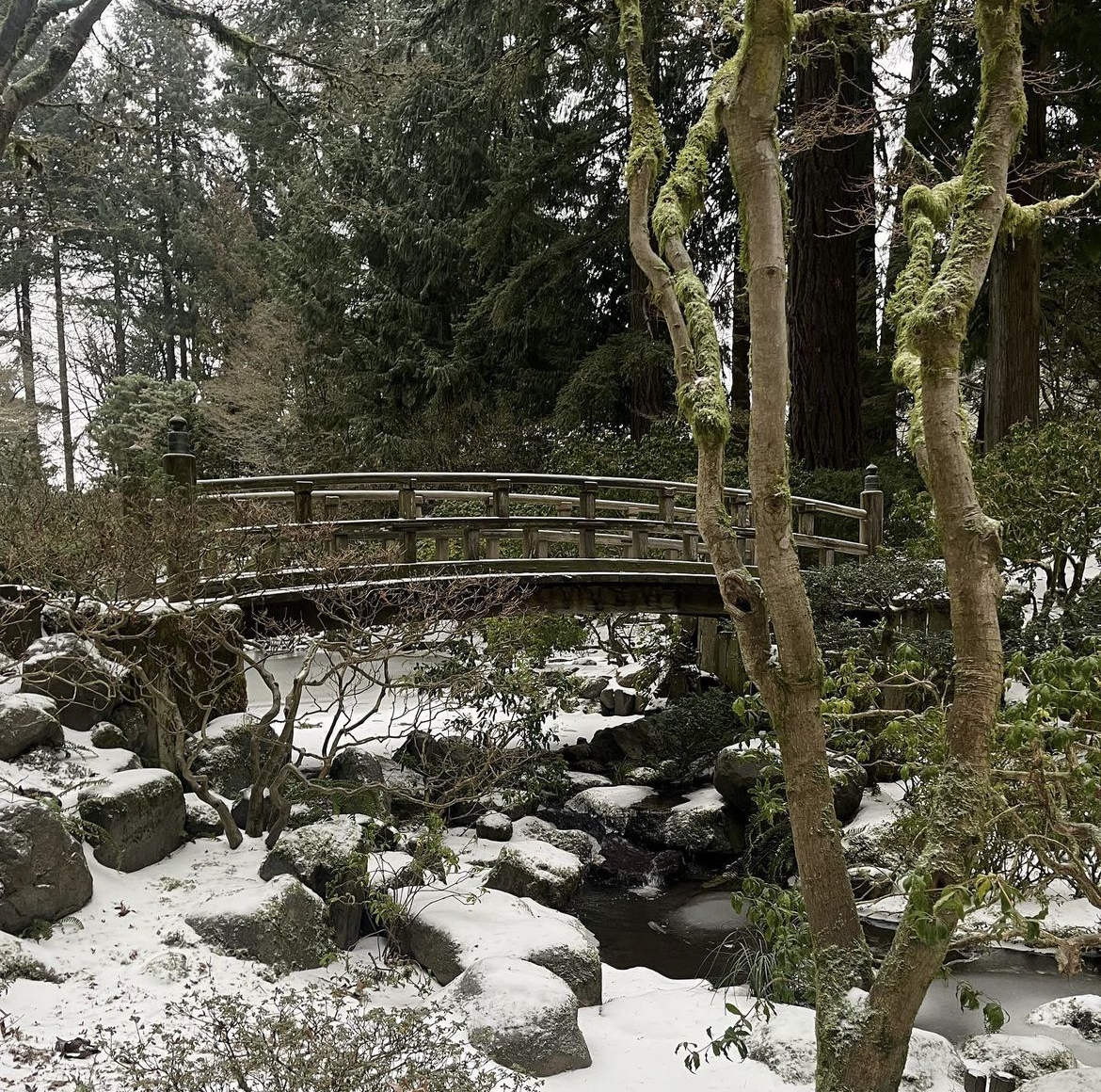 PHOTOS: Portland, OR winter storm leaves its mark on the region