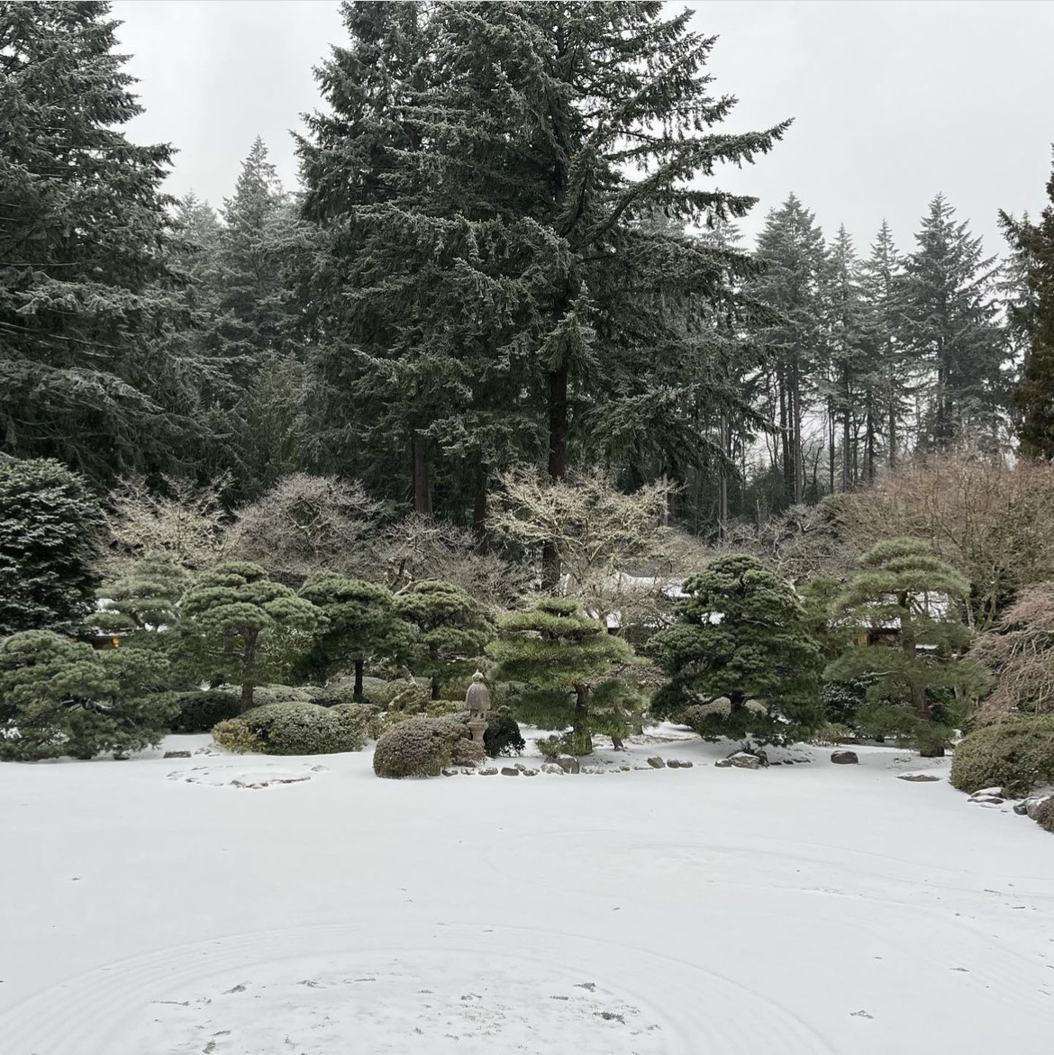 PHOTOS: Portland, OR winter storm leaves its mark on the region