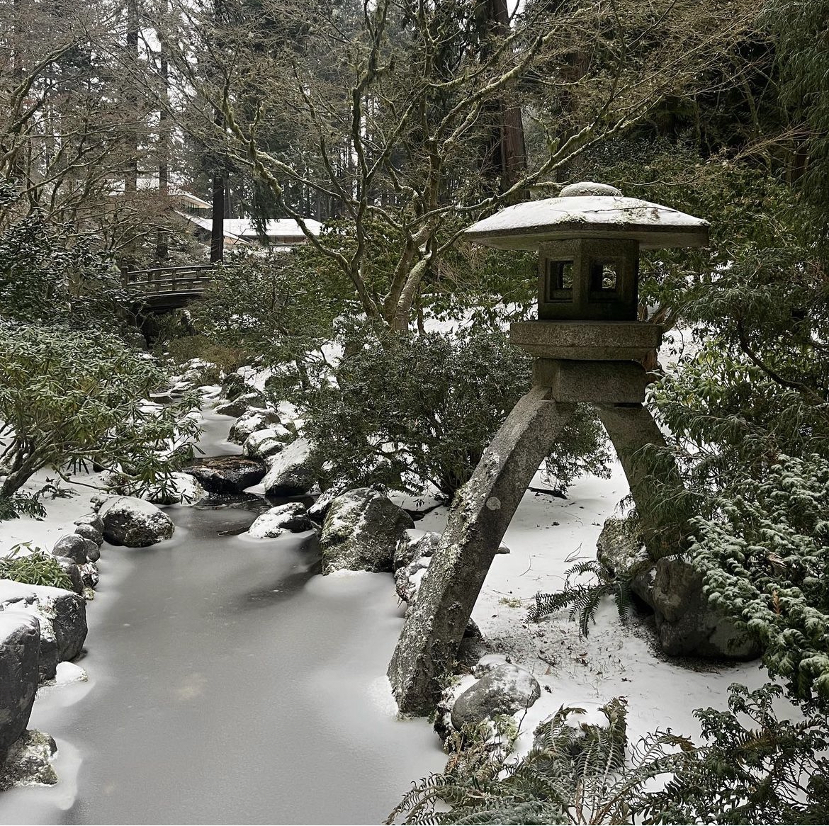 PHOTOS: Portland, OR winter storm leaves its mark on the region