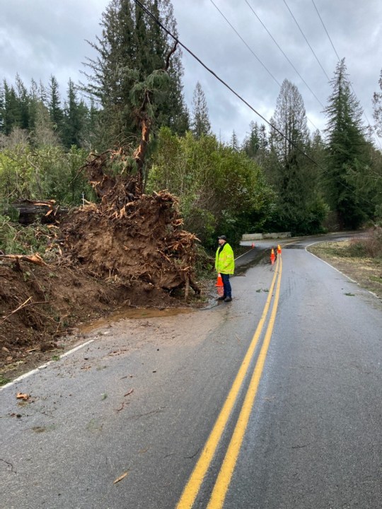 Heavy wind gusts toppled trees on Littlepage Road in Multnomah County on Tuesday, Dec. 27, 2022