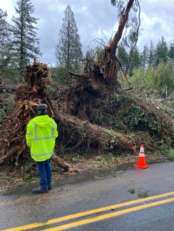 Heavy wind gusts toppled trees on Littlepage Road in Multnomah County on Tuesday, Dec. 27, 2022.