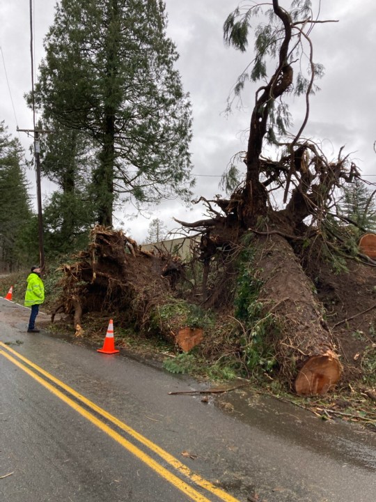 Heavy wind gusts toppled trees on Littlepage Road in Multnomah County on Tuesday, Dec. 27, 2022.