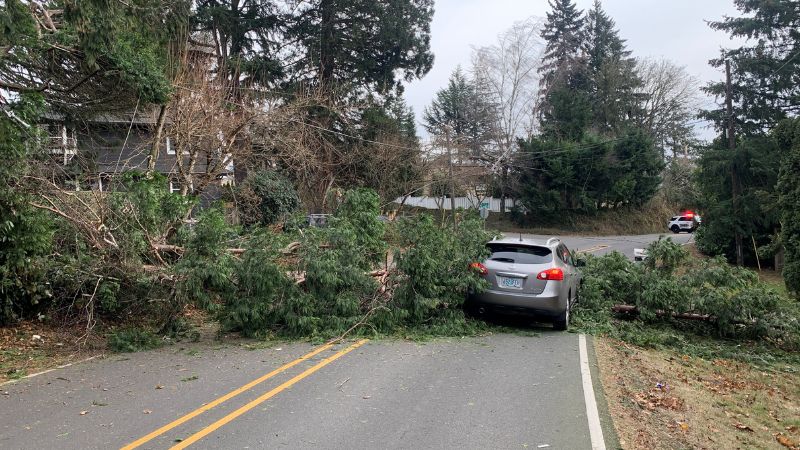 Downed trees, power lines causing multiple road closures in Portland, OR