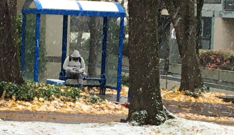 A person waits for a bus on Southwest Harrison during a snow event in Portland, December 4, 2022 (KOIN)