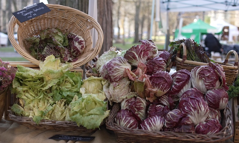 Sue Nackoney of Gentle Rain Farm sells her radicchio and other herbs and vegetables at the PSU Farmers Market, December 2022 (KOIN)