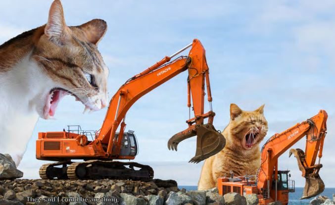 The Portland District of the U.S. Army Corps of Engineers created a 2023 calendar with giant cats photoshopped into Oregon infrastructure. It's now getting national and international attention. Photo courtesy U.S. Army Corps of Engineers