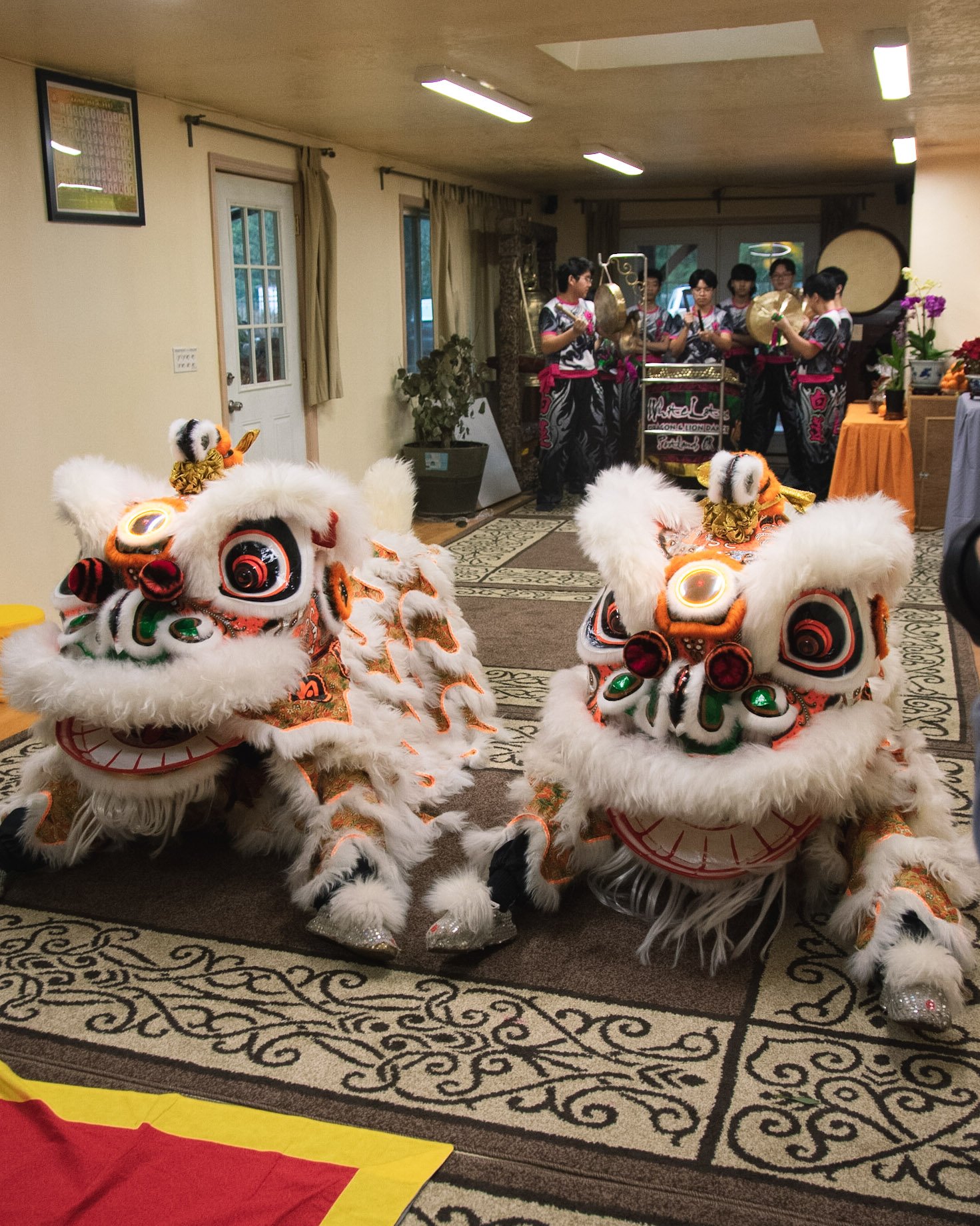 White Lotus Dragon & Lion Dance performs lion dances and dragon dances in Portland and the surrounding area. The dances are meant to scare away evil spirits and bring in good luck, especially on auspicious dates and important events like Lunar New Year, weddings and grand openings. Photo courtesy Nhan Danh