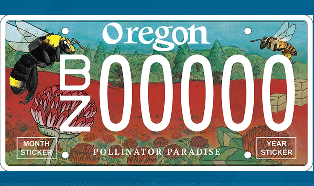 The Pollinator Paradise license plate would support bee research at Oregon State University. Photo courtesy Oregon State University