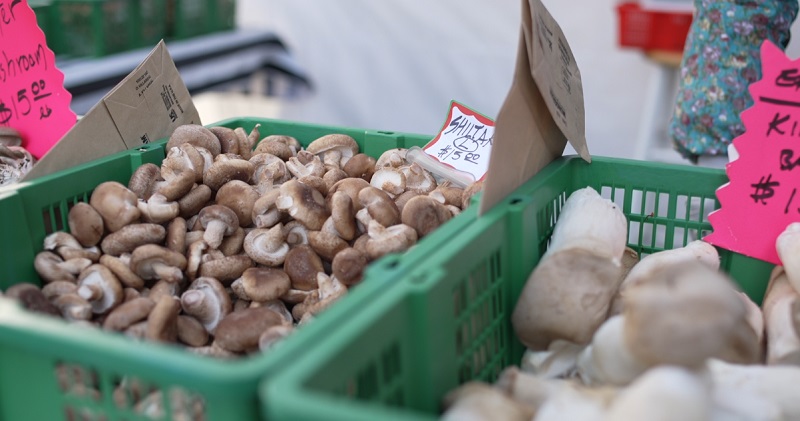 Mushrooms at the Farm and Wild booth at the PSU Portland Farmers Market, December 2022 (KOIN)