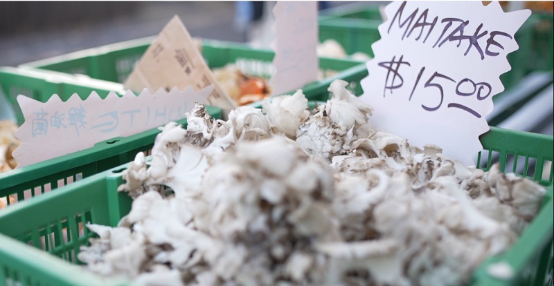 Mushrooms at the Farm and Wild booth at the PSU Portland Farmers Market, December 2022 (KOIN)