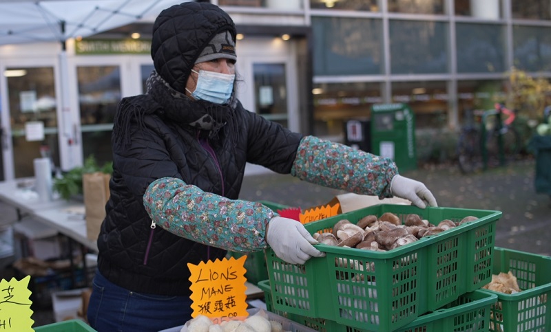 Mushrooms at the Farm and Wild booth at the PSU Portland Farmers Market, December 2022 (KOIN)