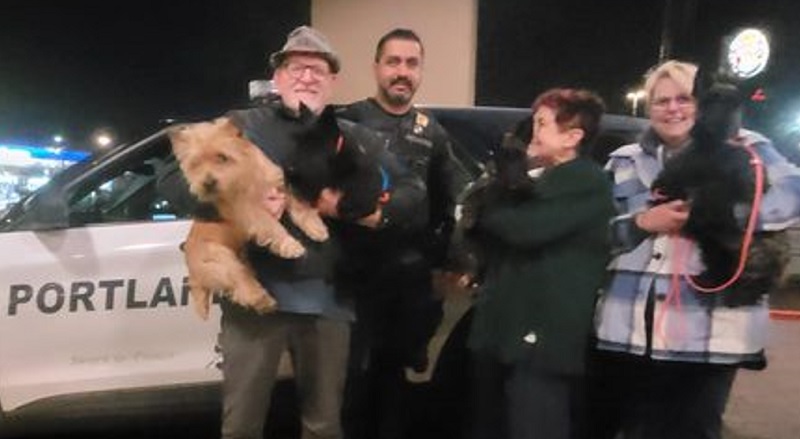 4 stolen show dogs were recovered safely within a day, January 22, 2023 (PPB)