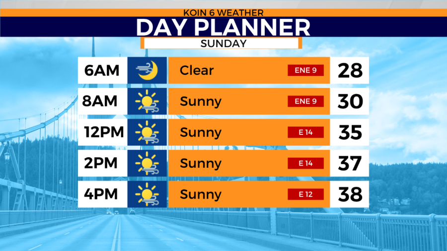 The day planner for Sunday, January 29, 2023 (KOIN)