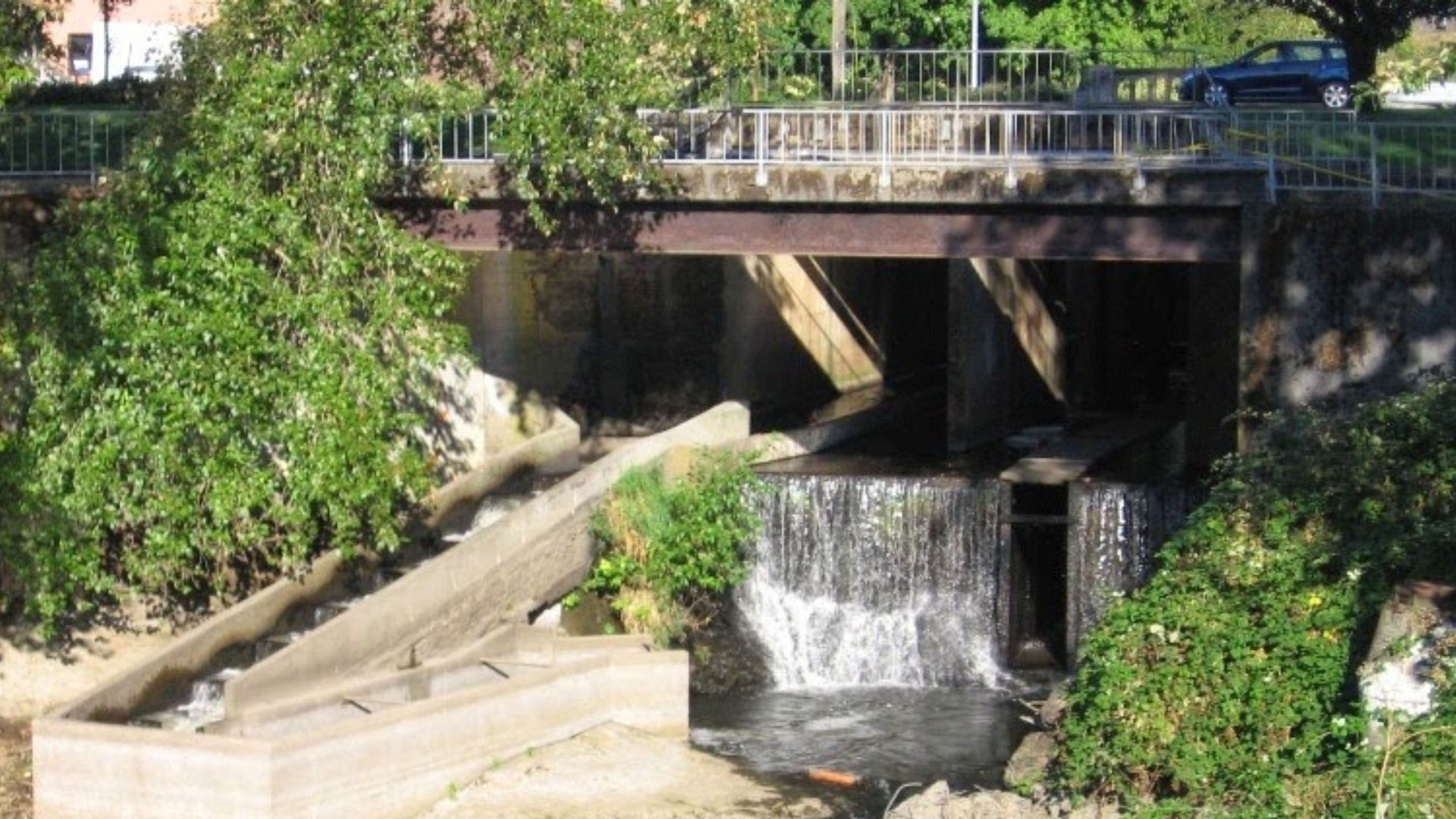 Milwaukie, OR Kellogg Dam removal gets fed boost, Milwaukie Bay Park plans stall