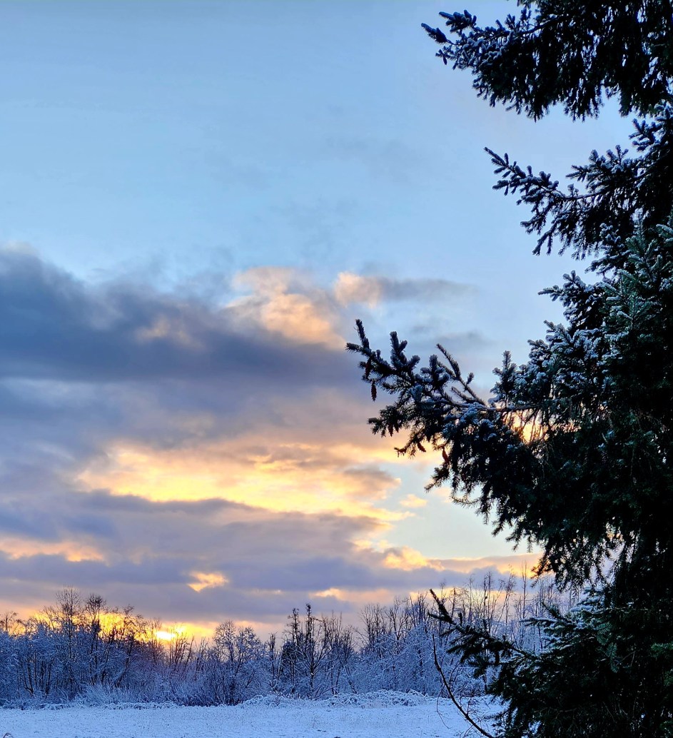 Sun rises on a snow day in Stayton, OR