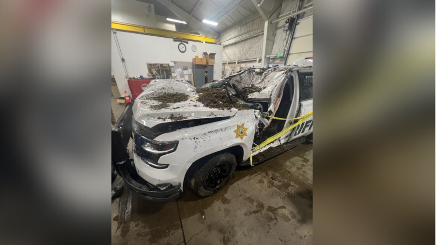 The Clark County Sheriff’s Office has identified the deputy who authorities say remains in stable condition after a tree piled with snow fell onto his patrol car Wednesday. Photo courtesy Clark County Sheriff's Office