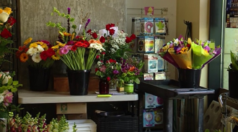 Flowers inside Gifford's Flowers in Portland,, February 12, 2023 (KOIN)