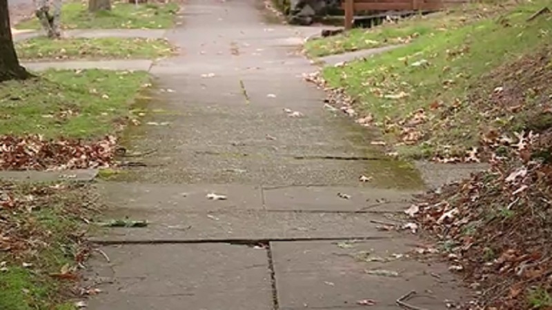 Joni Wilson was slapped with a $20,000 sidewalk repair bill at her SE Portland home, February 21, 2023 (KOIN)