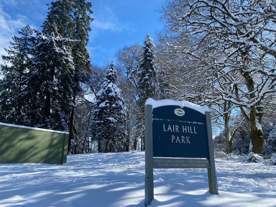 Snow transforms Portland's Lair Hill Park into a winter wonderland on Thursday, Feb. 23, 2023