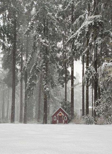 Snow at The Grotto